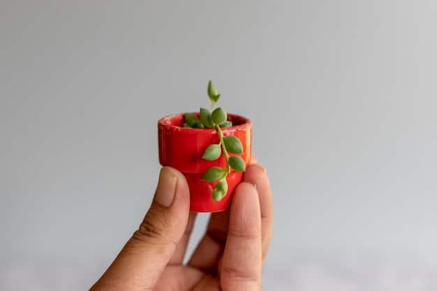 A close-up shot of hands holding a small, potted plant, symbolizing growth and appreciation.