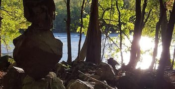 Discover the Benefits of Nature: Boost Your Mental Health in 30 Minutes - Cover Image