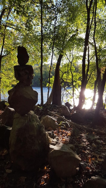 Discover the Benefits of Nature: Boost Your Mental Health in 30 Minutes