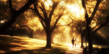 Nature Walks: New Research Shows 20% Stress Reduction in 2 Weeks - Cover Image