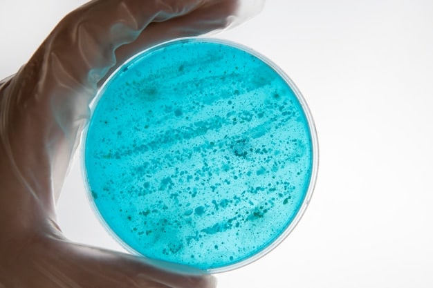 Understanding the National Strategy for Combating Antibiotic Resistance